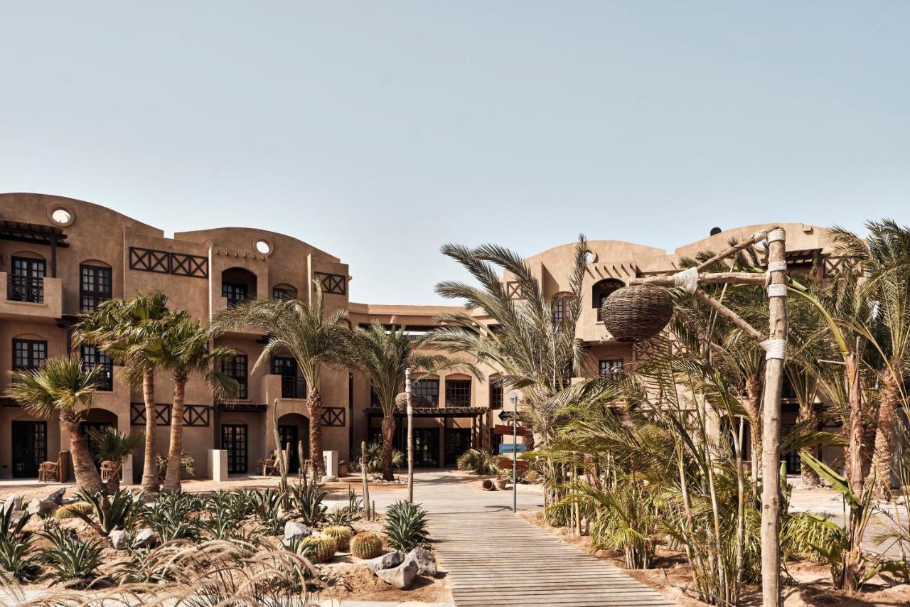 Hotel Cook'S Club El Gouna (Adults Only) Hurghada Zewnętrze zdjęcie