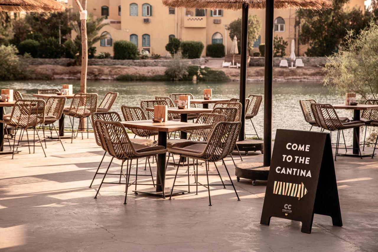 Hotel Cook'S Club El Gouna (Adults Only) Hurghada Zewnętrze zdjęcie